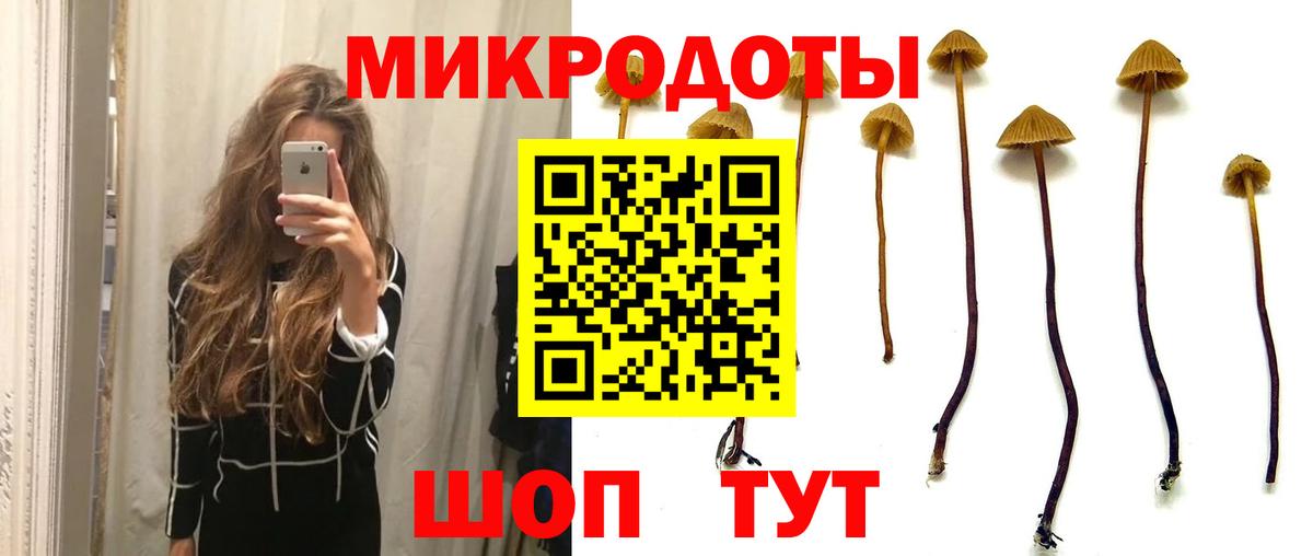 закладки  Псилоцибиновые грибы мухоморы  Вход с VPN  Великий Новгород 