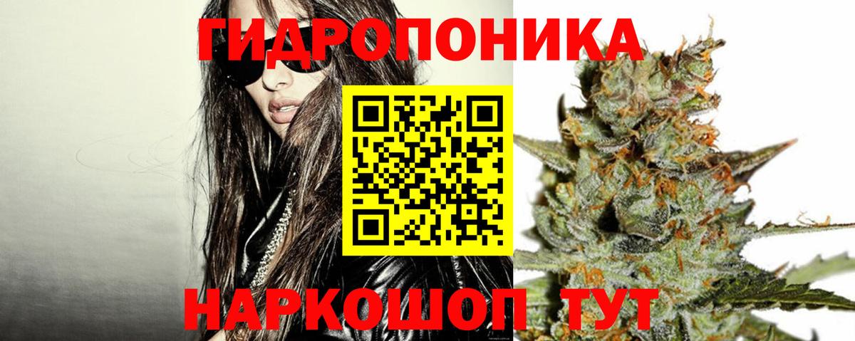Канабис OG Kush  Конопля SATIVA & INDICA  Великий Новгород  Вход с VPN  МАРИХУАНА Ganja  Бошки марихуана план 
